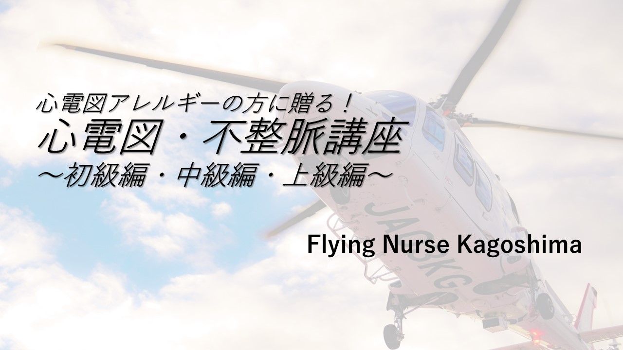 Flying Nurse Kagoshima